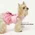 Fitwarm Pink Birthday Girl Dog Tulle Dress, Dog Clothes for Small Dogs Girl, Cat Apparel, XX-Small