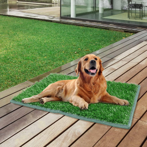 Artificial Dog Grass Pee Pad, 2-Pack, Indoor Potty Training Replacement Turf for Puppies