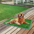 Artificial Dog Grass Pee Pad, 2-Pack, Indoor Potty Training Replacement Turf for Puppies