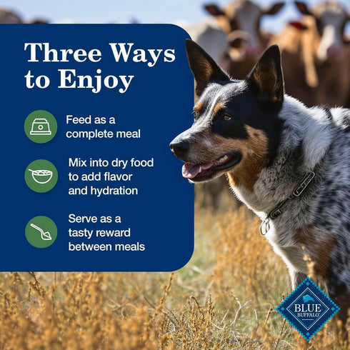 12.5 oz. 3 Count Blue Buffalo Homestyle Recipe Lamb Dinner with Garden Vegetables Wet Dog Food for Adult Dogs, Chicken