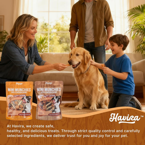 2.5" 16oz, Havira Training Treats for Small Dogs, Mini Rawhide Chews, Chicken Wrapped Dumbbells Chicken Rice Flavor