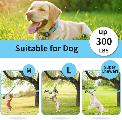 LOOBANI Dog Spring Pole Toy for Pitbull - Durable Outdoor Tug Toy for Exercise & Bite Training, Blue