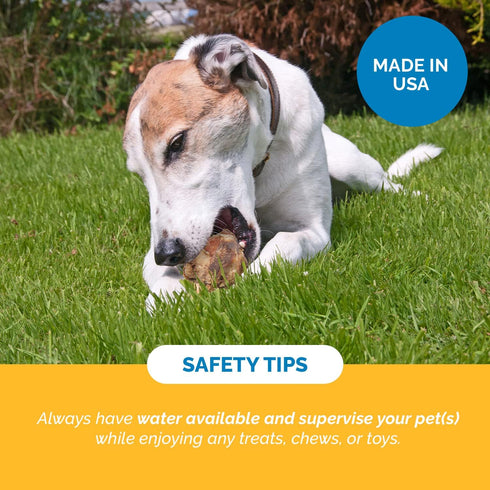 123 100% Pack 3 Treats Meaty Dog Bones, Natural Knee Cap Beef Bone Dog Treats, No Additives, Made from Premium USA