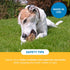 123 100% Pack 3 Treats Meaty Dog Bones, Natural Knee Cap Beef Bone Dog Treats, No Additives, Made from Premium USA