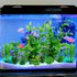 Fish Tank Accessories, 10pcs Green Plastic Plants for Aquarium Decor and Fish Tank Decorations