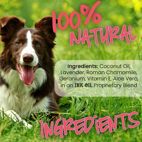 Pup Oils Dog Itch Relief Supplement, Liquid Drops for Itching Removal, Therapeutic Essential Vitamin Oils for Dogs