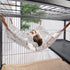 Niteangel Hanging Hammock Nap Sack - Swing Bag Pet Sleeper for Ferret, Rat, Sugar Glider (Cream, Star)