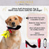 Bonne et Filou Red High Heel Plush Squeaky Dog Toy Durable and Soft Dog Chew Toy Perfect for Small and Medium Dogs Plush Toys for Aggressive Chewers (1 Large Size)