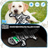 5pcs Set LECHONG No Stuffing Dog Squeaky Toys, Glowing Eyes Crinkle Plush Puppy Toys for Teething Chewing, Flat Tough