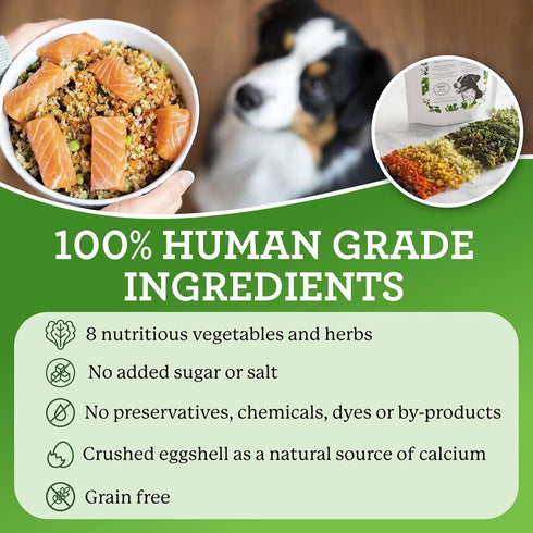 Dr. Harvey's Veg-to-Bowl Dog Food - Human Grade Dehydrated Base Mix, Grain Free Holistic Mix, Trial Size (6.5 Oz)