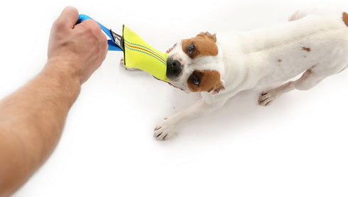 Dog Bite Tug Toy - 10 Inches Durable Interactive Toy for Medium to Large Dogs, Perfect for Tug of War