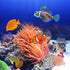 Weewooday 7 Pieces Artificial Glowing Fish, Colorful Floating Jellyfish Aquarium Decor