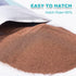 90% 150G Dylan's cabin Brine Shrimp Eggs Fish Food - Hatch Rate for Aquatic Foods Baby Aquarium Fish Freshwater