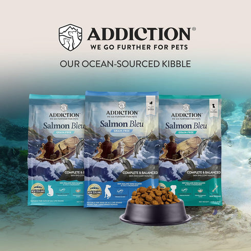 Addiction Salmon Bleu Cat Dry Cat Food, Complete and Balanced Diet, Skin and Coat Health, 4 lb (2 Packs)