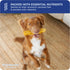 Downtown Pet Supply Yak Cheese Himalayan Dog Chews - Regular Yak Chews Rich in Nutrients for Small to Medium Dogs - 2 LB