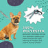 FuzzYard Dinosaur Land Dog Leash | Size S | Comfortable Neoprene Lead for Dogs, Perfect for Outdoor Walking & Training