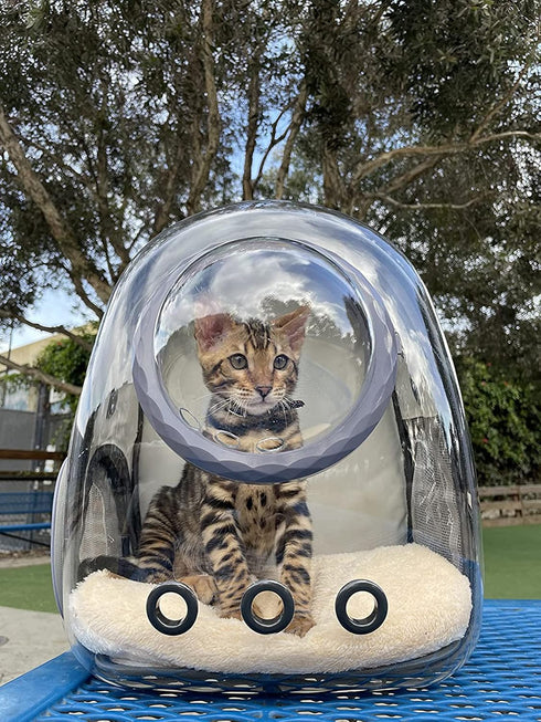 Bubble Cat Carrier Backpack - Transparent Pet Carrier for Small Puppy and Bunny (Backpack, Black)