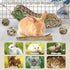 Chinchilla Hamiledyi Rabbit Seagrass Activity Mat Bunny Toy Hanging Rabbit Chew Toys for Teeth Enrichment Toys Seagrass