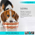 MODGY Collapsible Dog Food Bowl Dish, Reusable, Plastic Travel Size, Portable Container, Camping, Hiking, Car, Road Trip Essential, Cute Pattern, Sierra, Pack of 2