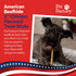 5in 5 Inches (Pack 1) Pet Factory American Beefhide Twist Sticks Dog Dental Chews - Natural Rawhide Dental Chews