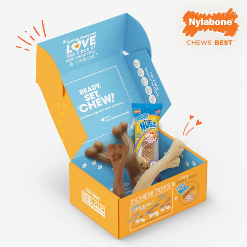 Nylabone Dog Toy Gift Box - 3 Strong Chew Toys and 1 Dog Treat, Chew Toys for Puppies, Small/Regular (4 Count)