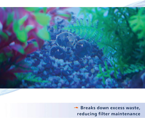 Aqueon Aquarium Pure Live Bacteria and Enzymes Water Supplement, 12 Pack for 10 Gallon