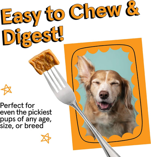 Real Meat Air Dried Dog Food, 2lb Bag with Real USA Chicken, Grain-Free, High Protein