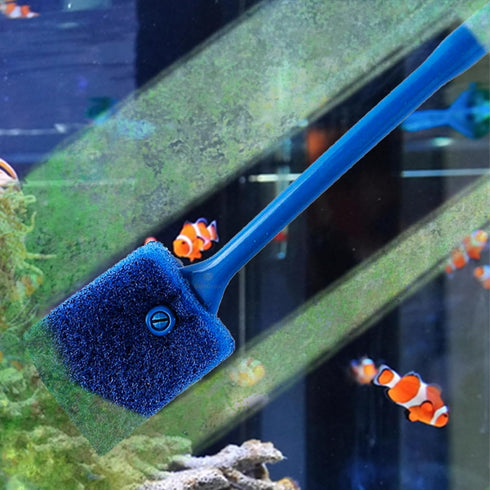 SunGrow Aquarium Crested Gecko, Hermit Crab Sponge Scraper, 16” x 2”, Double-Sided Blue Sponge