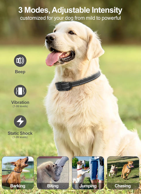 Dog Shock Collar 2 Pack, Dog Training Collar with Remote, IP65 Waterproof E Collar for Dogs with Shock, Vibrate, Beep