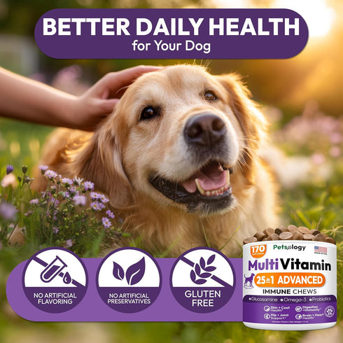 170 Immune Dog Multivitamin Chewable - Dog Vitamins and Supplements with Glucosamine - Chews - Hip & Joint, Pet