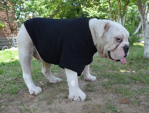 Lovelonglong Bulldog Blank T-Shirt, Dog Clothing Tee Shirts for French Bulldog, English Bulldog, American Pit Bull,