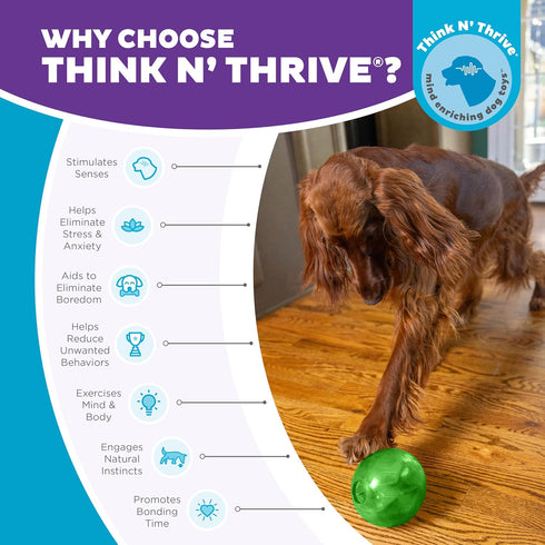 Outward Hound Mazee Puzzle Ball Interactive Treat Dispensing Dog Toy, Green Color