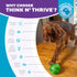 Outward Hound Mazee Puzzle Ball Interactive Treat Dispensing Dog Toy, Green Color