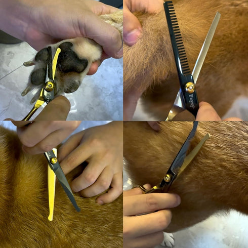 Set Dog Grooming Scissors Kit, Fcysy Professional Pet Shears for Cats at Home, Dog Grooming Tools with Curved