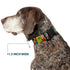 Dog Collar Plastic Clip Marvel Retro Comic Panels, Black Yellow, 6 to 9" Wide