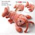 Flopping Lobster Toys for Cats & Small Dogs, Interactive Catnip Toys for Indoor Cats, USB Rechargeable