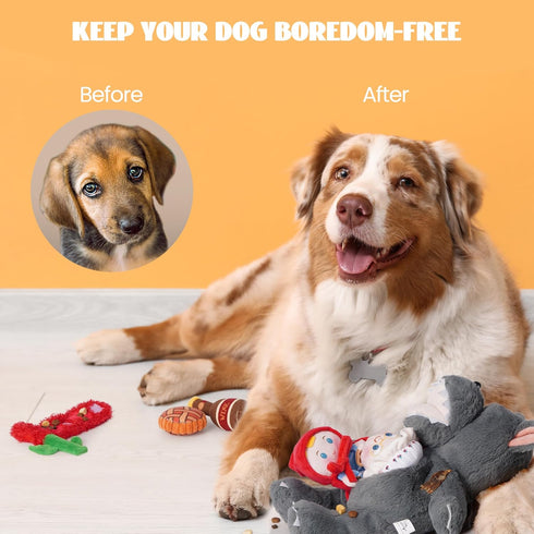 Nocciola Fairy Tale Squeaky Dog Toys, Cute Interactive Plush Stuffed Hide and Seek Cognitive Puzzle Puppy Crinkle Chew