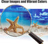 Beach Fish Aquarium Background Poster for 10-20 Gallon Tank, Double Sided Fish Tank Stickers