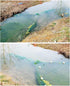 Lawaia Crawfish Trap Fish Trap Fishing Net Collapsible Crab Trap/Portable Minnow Trap Folded Cast Net with Float