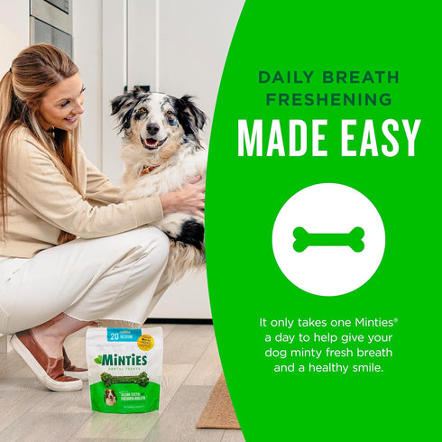 Minties Dental Chews for Dogs, 12 Count, Vet-Recommended Mint-Flavored Treats for Large Dogs Over 50 lbs