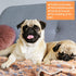 40 Chumia Pcs Dog Blankets Soft Fluffy Fleece Washable Puppy Sleep Blankets Small Mat for Pets Throw Warm Bed Mat