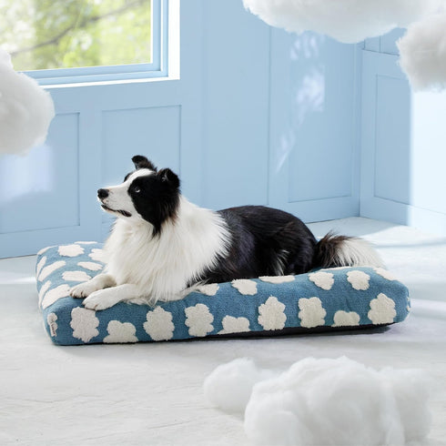 Lesure Dog Beds Large Sized, Thick Shredded Chopped Foam Pet Bed, Indoor with Removable Cover, 35'x22', Blue.