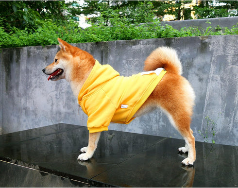 iChoue I am a French Bulldog Clothes Hoodies for Dogs, Puppy Frenchie Pug Sweatshirt, Yellow/Large