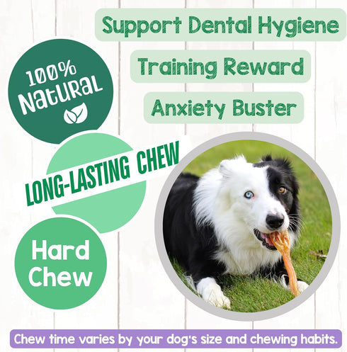 (8oz) Nature Gnaws Beef Tendons for Dogs - Mixed Thickness - Long Lasting for Small and Medium Dogs - Natural Beef