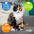 Pet Craft Supply Kitty Condor Crazy Catnip, Funny Cuddling Chasing Hunting Irresistible Soft Plush Toy with Realistic