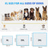 6 36"x24" 30 Counts Boscute Thicken Layers Heavy Absorbent XL Pet Training Dog Pee Pads, Extra Large Polymer Leak-Proof