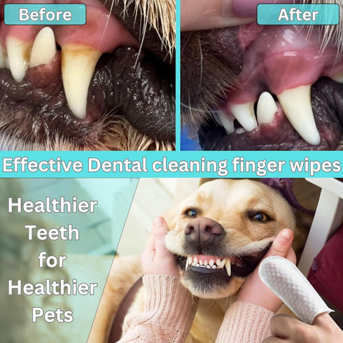 (2 Pack). Pet Dental Finger Wipes for Dogs & Cats Dog Tooth Wipes & Toothbrush Alternative Easy Teeth Cleaning