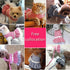 Outdoor Dog Clothing Princess Costumes - Pet Harness Dress for Poodle, Bichon Frise, Pomeranian, Schnauzer (L, Pink)