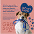 Good Scout Carbon Steel Fine-Tooth Pet Hair Comb - Best Deshedding Tool for Dogs & Cats, Gentle & Effective Grooming