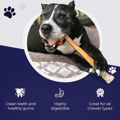 Devil Dog Pet Co. Jumbo Bully Sticks – 6 Inch, 3 Pack Dog Chews, 100% Natural, Free-Range Grass-Fed Beef